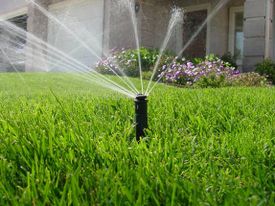 A sprinkler spraying water on a lawn Description automatically generated with low confidence