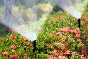 lawn irrigation systems