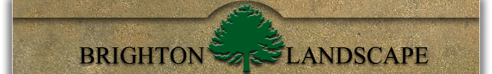 brighton landscape logo