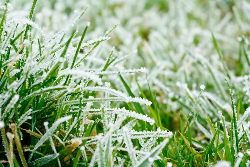 Featured image for “Will My Irrigation System Freeze in the Winter?”